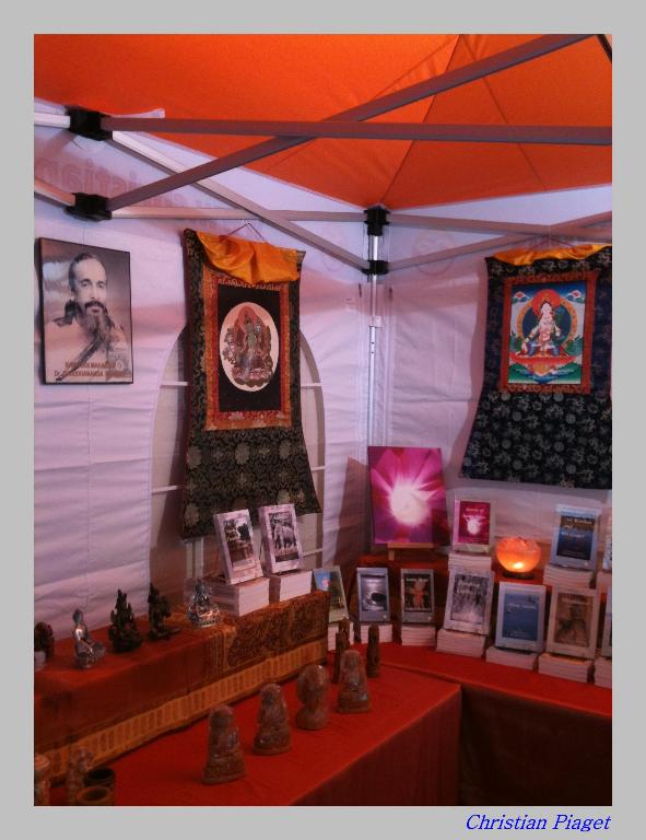 Salon de la Sant, Mednat 2011