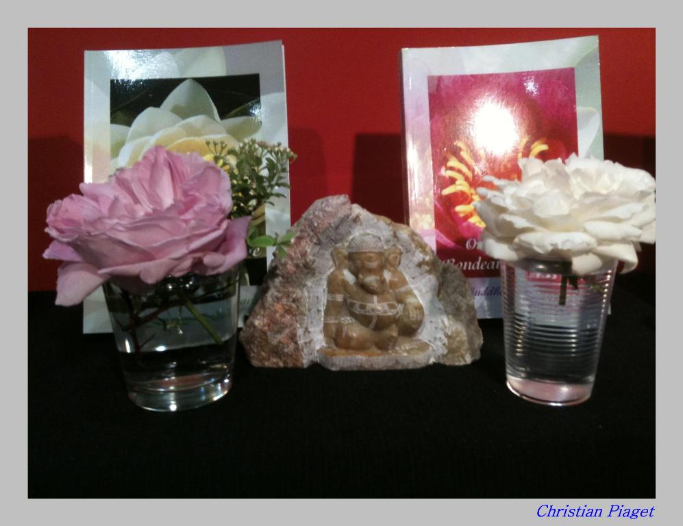 Salon du livre, Palexpo 2011