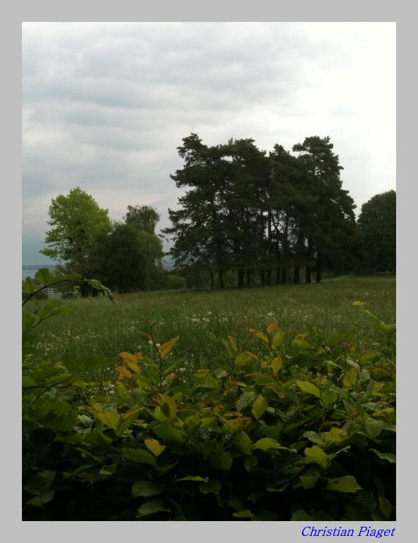 Salon du livre, Palexpo 2011