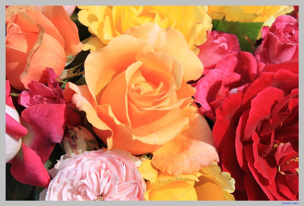 March d't, Sainte-Croix 2011