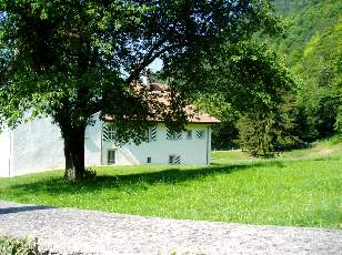 Dans les champs en juillet