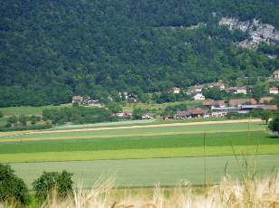 Dans les champs en juillet