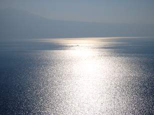 Vigne du Lavaux en novembre avec vue sur le lac Lman