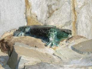 Subtilit sur le parcours, si vous le rencontrez faites lui un petit coucou...