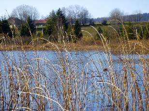 Lac et tourbires de Malpas, les prs Partot et le bief Belin