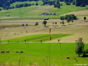 Valle des Ponts-de-Martel