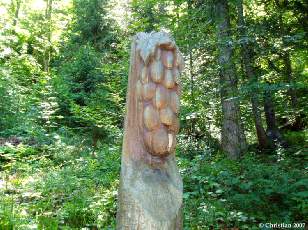 Grappe de raisin 2001