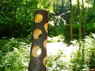 Dcoration - trous 2005