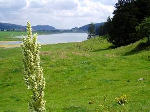 Le lac des Taillres