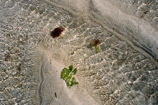 Calme avant la tempte...