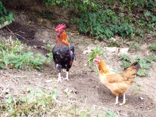 Les alentours de Beaudan