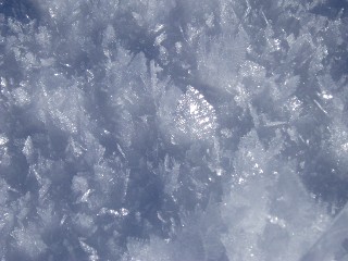 Beaut et magie de la Nature jouant avec les lments!