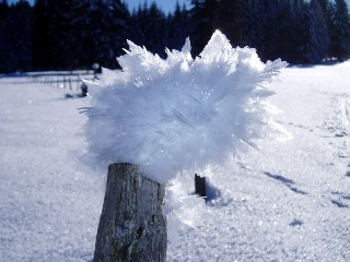 Beaut et magie de la Nature jouant avec les lments!