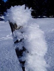 Beaut et magie de la Nature jouant avec les lments!