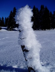 Beaut et magie de la Nature jouant avec les lments!