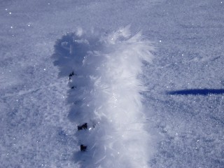 Beaut et magie de la Nature jouant avec les lments!