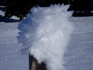 Beaut et magie de la Nature jouant avec les lments!