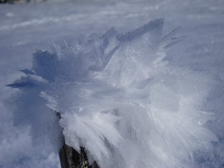 Beaut et magie de la Nature jouant avec les lments!