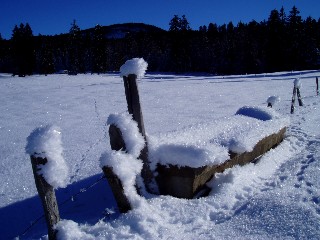 Beaut et magie de la Nature jouant avec les lments!