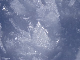 Beaut et magie de la Nature jouant avec les lments!