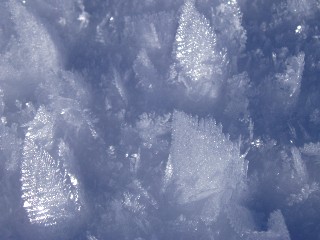 Beaut et magie de la Nature jouant avec les lments!