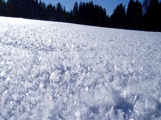 Beaut et magie de la Nature jouant avec les lments!