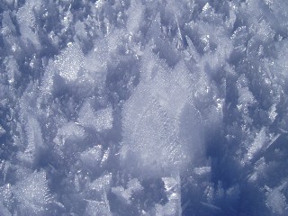 Beaut et magie de la Nature jouant avec les lments!