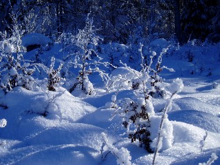 Beaut et magie de la Nature jouant avec les lments!