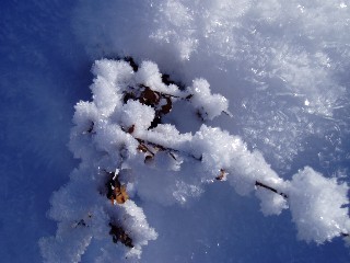Beaut et magie de la Nature jouant avec les lments!