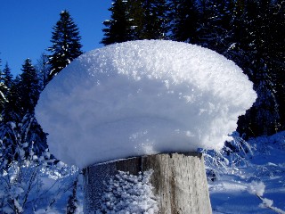 Beaut et magie de la Nature jouant avec les lments!