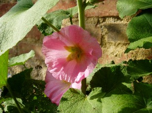 Magie et Beaut de la Nature