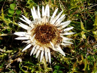 Couleurs d'automne dans le Jura Vaudois  L'Auberson 