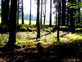 Couleurs d'automne dans le Jura Vaudois  L'Auberson 