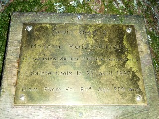 Le Sapin de l'arrire grand-mre Marie!