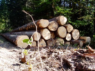 Couleurs d'automne dans le Jura Vaudois  L'Auberson 