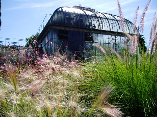 Jardin botanique au mois d'aot  Genve