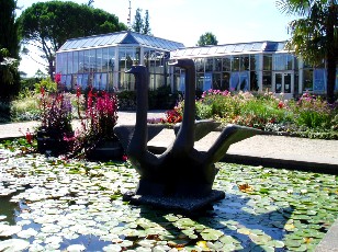 Jardin botanique au mois d'aot  Genve