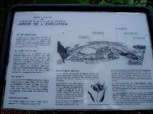 Jardin botanique au mois d'aot  Neuchtel