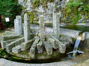 Jardin botanique au mois d'aot  Neuchtel