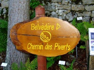 Jardin botanique au mois d'aot  Neuchtel