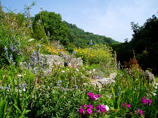 Jardin botanique au mois d'aot  Neuchtel