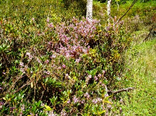 Monte au lac d'Ourrec