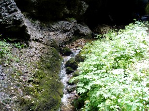 Gorges de la Pota-Raisse