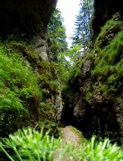Gorges de la Pota-Raisse