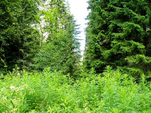 Gorges de la Pota-Raisse