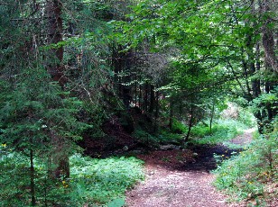 Gorges de la Pota-Raisse