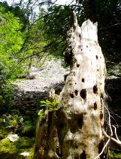 Gorges de la Pota-Raisse, direction la Combaz