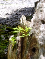 Gorges de la Pota-Raisse, direction la Combaz