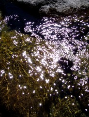 Magie et Beaut de la Nature au Pont d'Espagne !