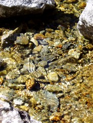 Magie et Beaut de la Nature au Pont d'Espagne !